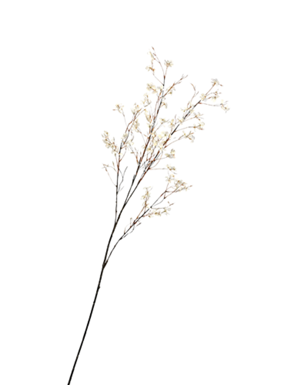 Siertak Blossom Wit 132cm