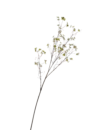 Siertak Blossom Groen 132cm