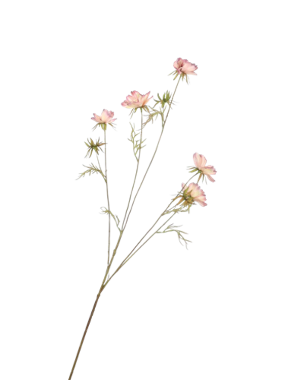 Siertak Cosmos Spray Blush 100cm
