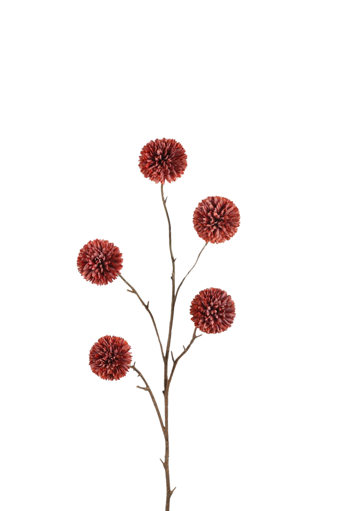 Siertak Pompon Chrysant Roest 100 cm
