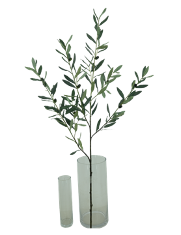 Olijftak 100cm