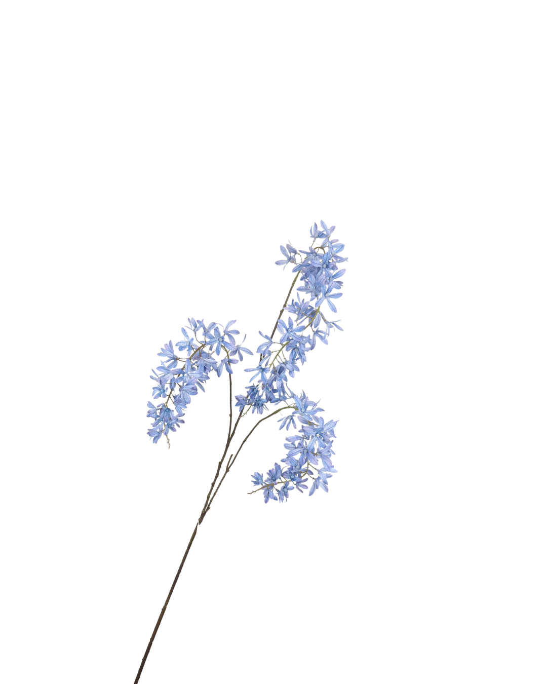 Siertak Wisteria Spray Blue 110 cm
