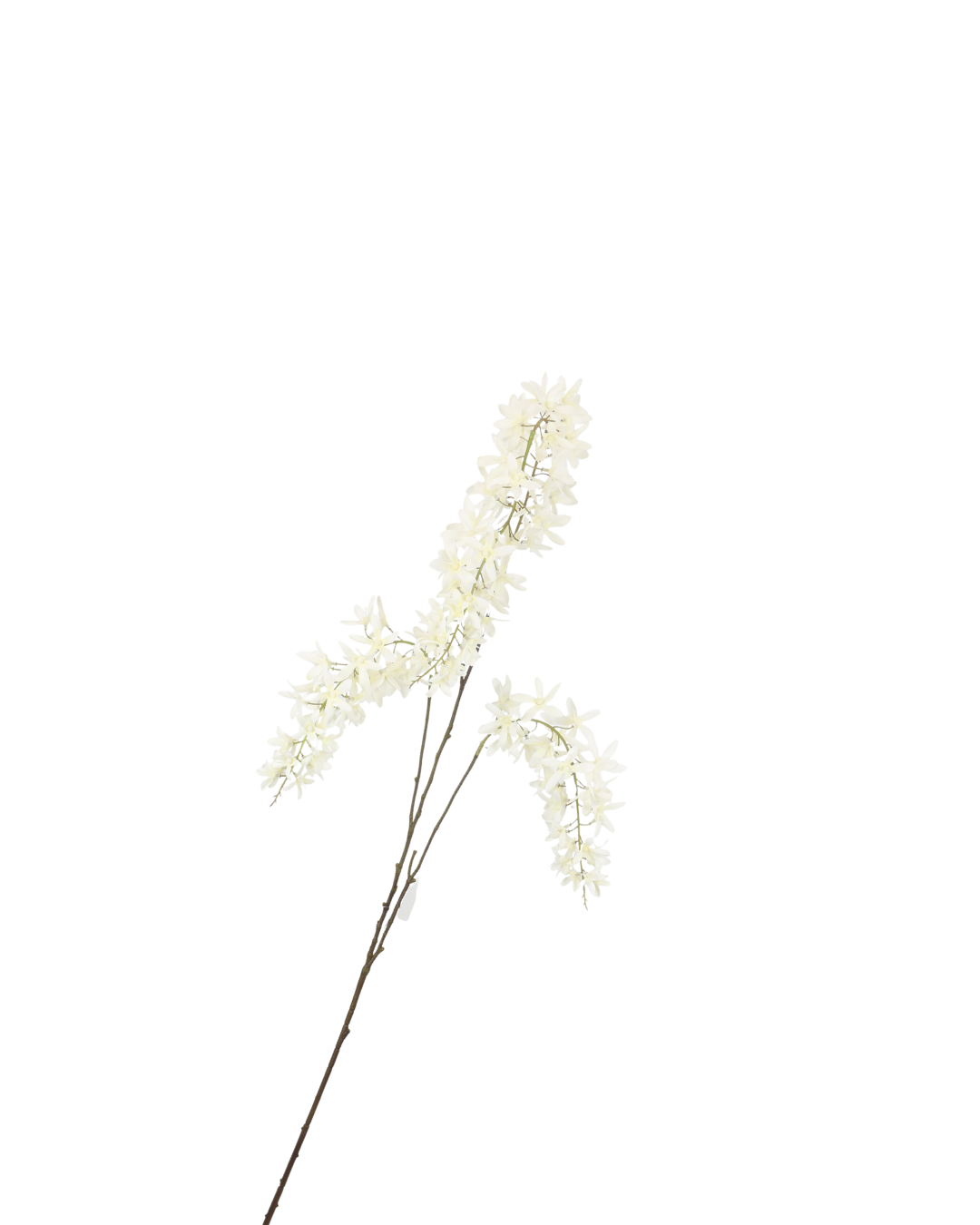 Siertak Wisteria Spray White 110 cm