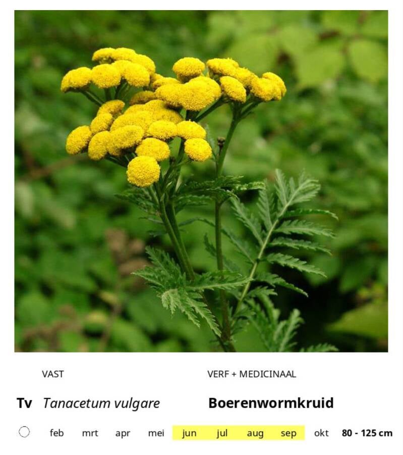 tv-standard-fa8bof.jpg