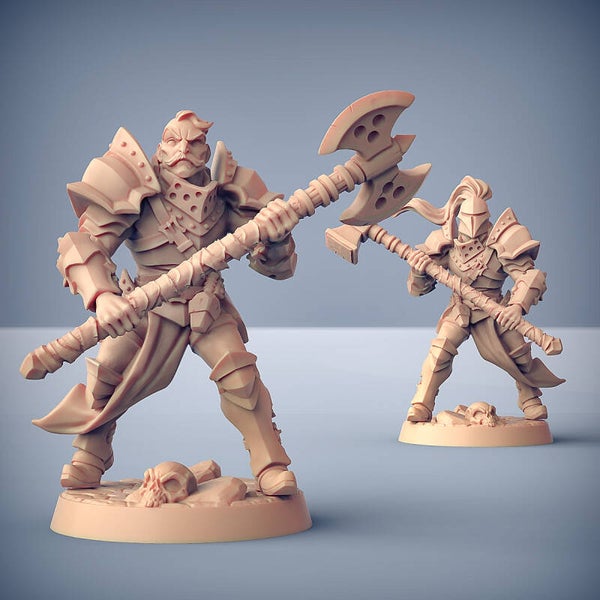 Human Fighter Guild B