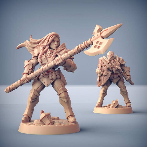 Human Fighter Guild D