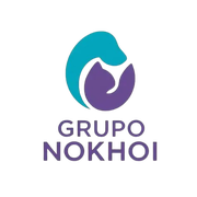Logo de Grupo Nokhoi