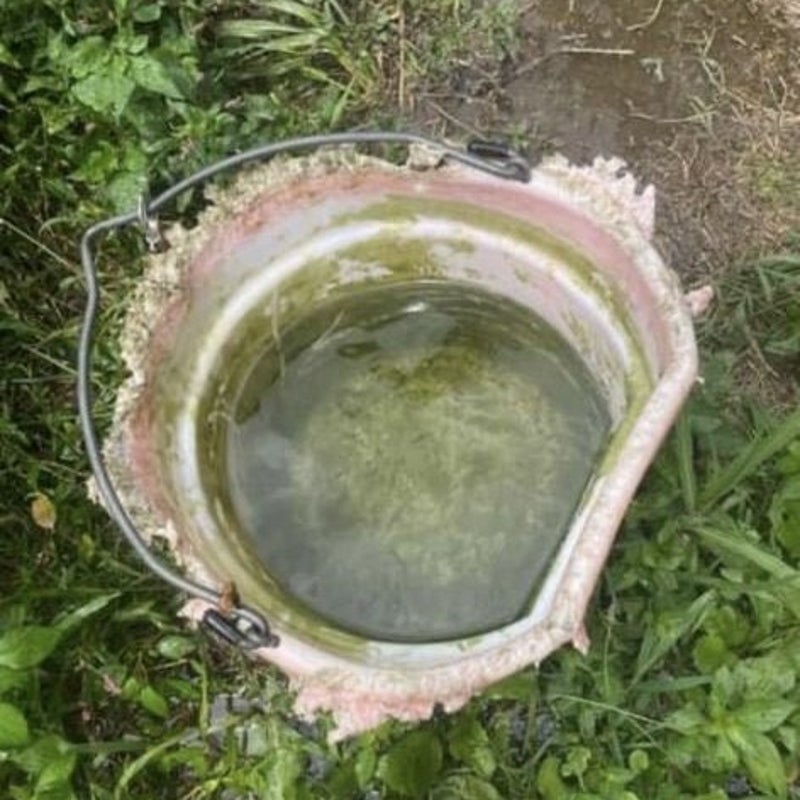 water-bucket-2-standard-zkkdga.jpg