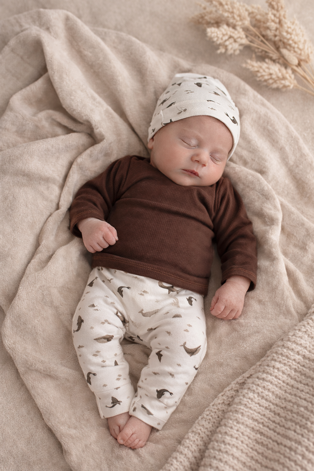 Broekje | Brown Sealife