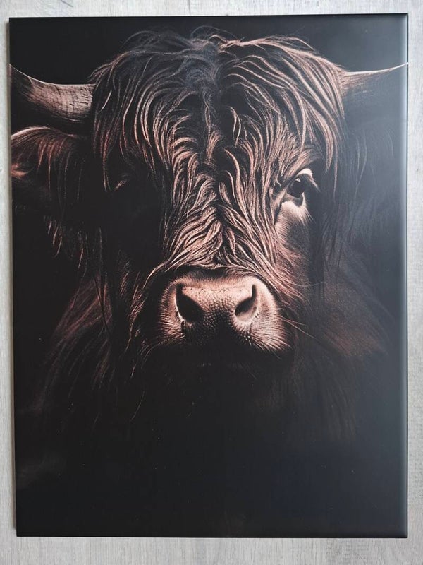 Wandtegel Schotse Hooglander