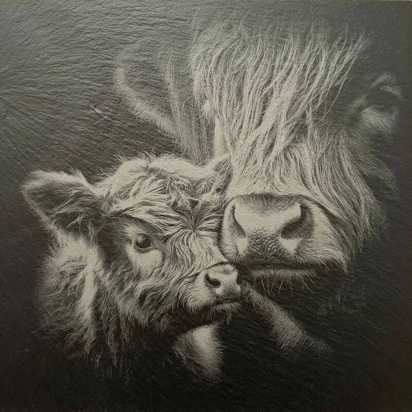 Schotse Hooglander met kalf 25x25 cm