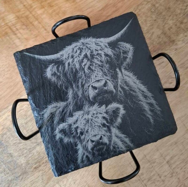 Schotse Hooglanders