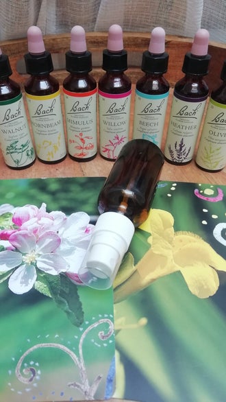 fleurs de bach-fleurs sauvages-harmoniser emotions-docteur edward bach-sante naturelle-surmonter perturbations-epanouissement de notre personnalite-ressentir-subtile-aligner-elixirs