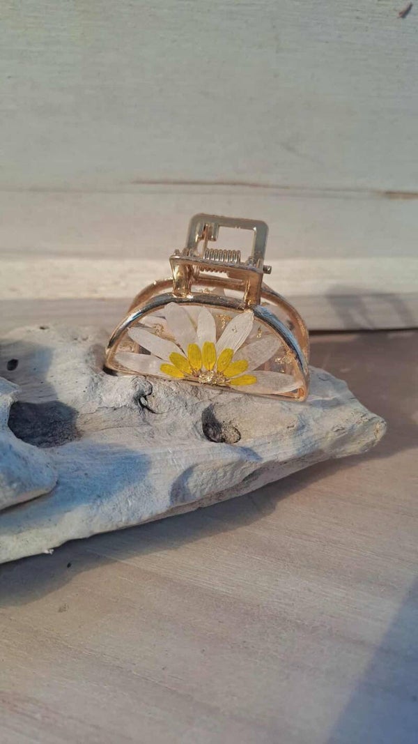 Petite pince à cheveux fleurs naturelles séchés de Marguerites et de Sanvitalie
