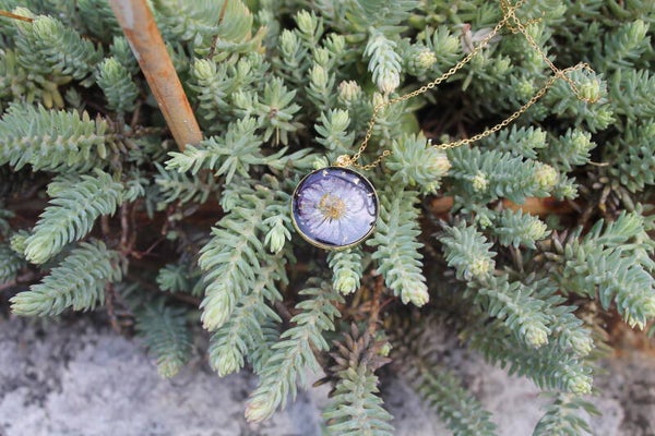 Collier rond chaine dorée