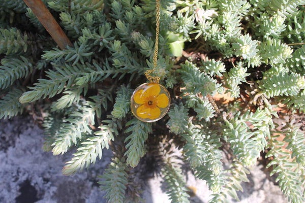 Collier rond avec chaine doré