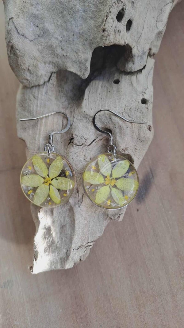 Boucles d'oreilles fleurs séchées de Pâquerettes colorées et particules de feuilles argent