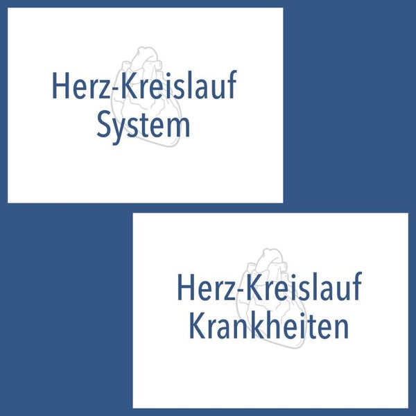 Herz-Kreislauf System / Herz-Kreislauf Krankheiten I Paket Medizin