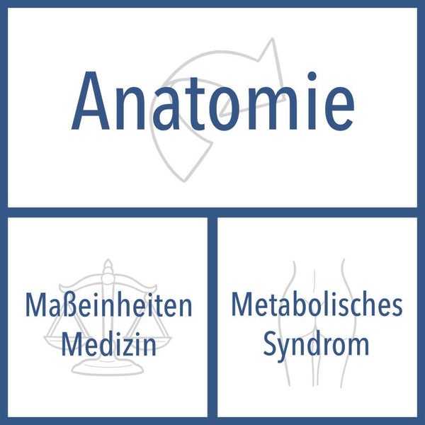 Anatomie / Maßeinheiten / Metabolisches Syndrom l Paket Medizin