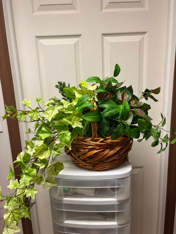 Plant baskets