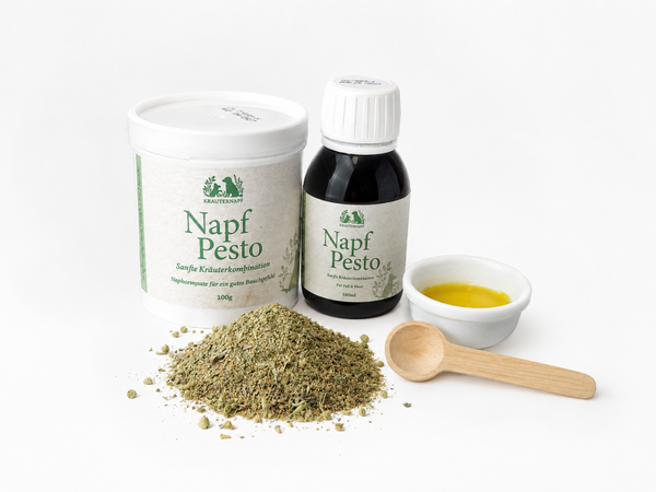 Napf Pesto