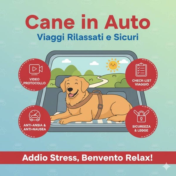 Cane in Auto: Viaggi Rilassati e Sicuri