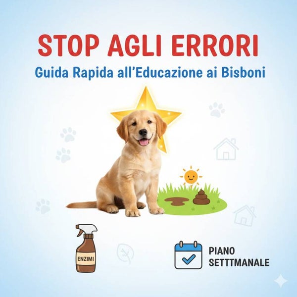 Addestramento alla Pulizia (Cuccioli e Adulti)