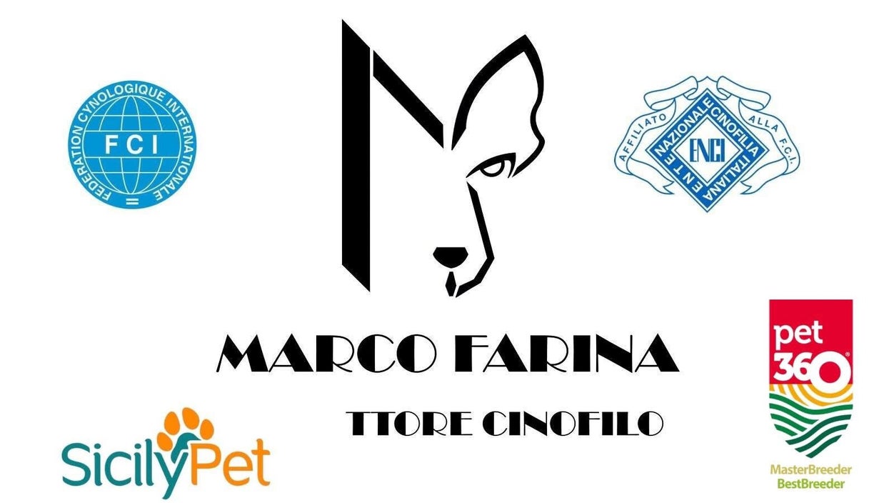 Logo Marco Farina