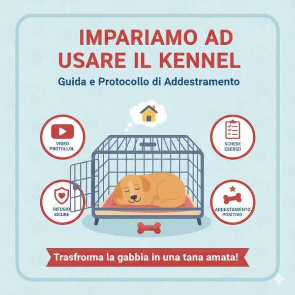 uso del kennel digitale