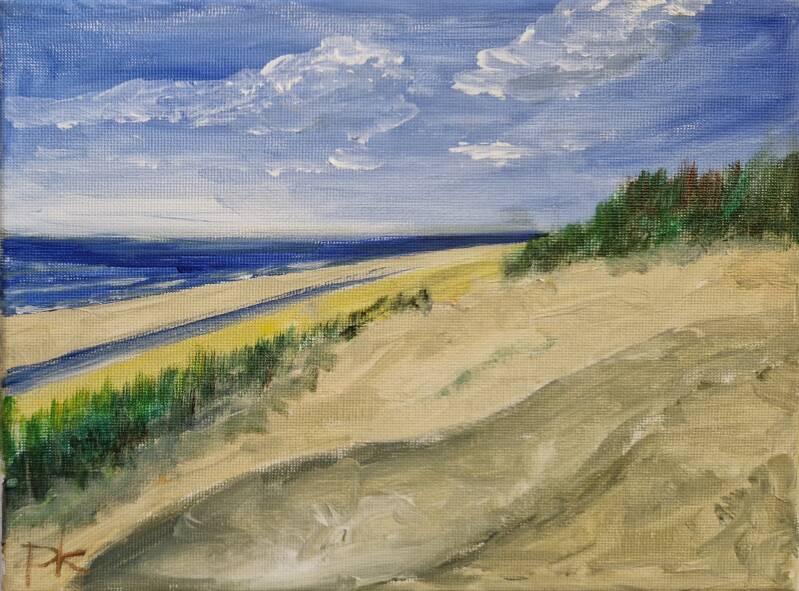 'duinovergang 2' acryl op canvas 24*30