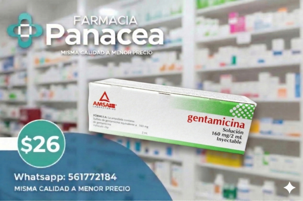 GENTAMICINA 160 mg, 2 ml