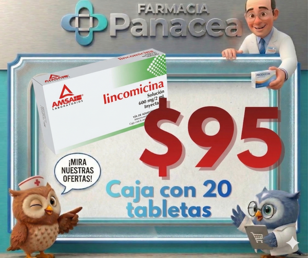 LINCOMICINA 600 mg/2 ml