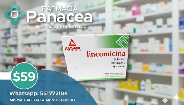 LINCOMICINA 300 mg/ml