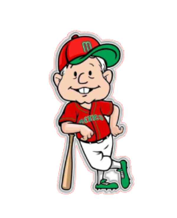 AMLO BASEBALL VYNIL WALL PAPER