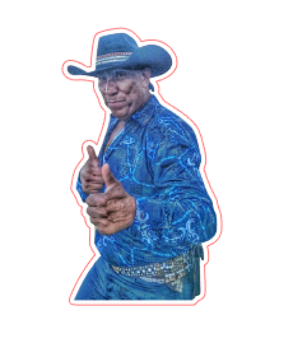 BRONCO VYNIL STICKER