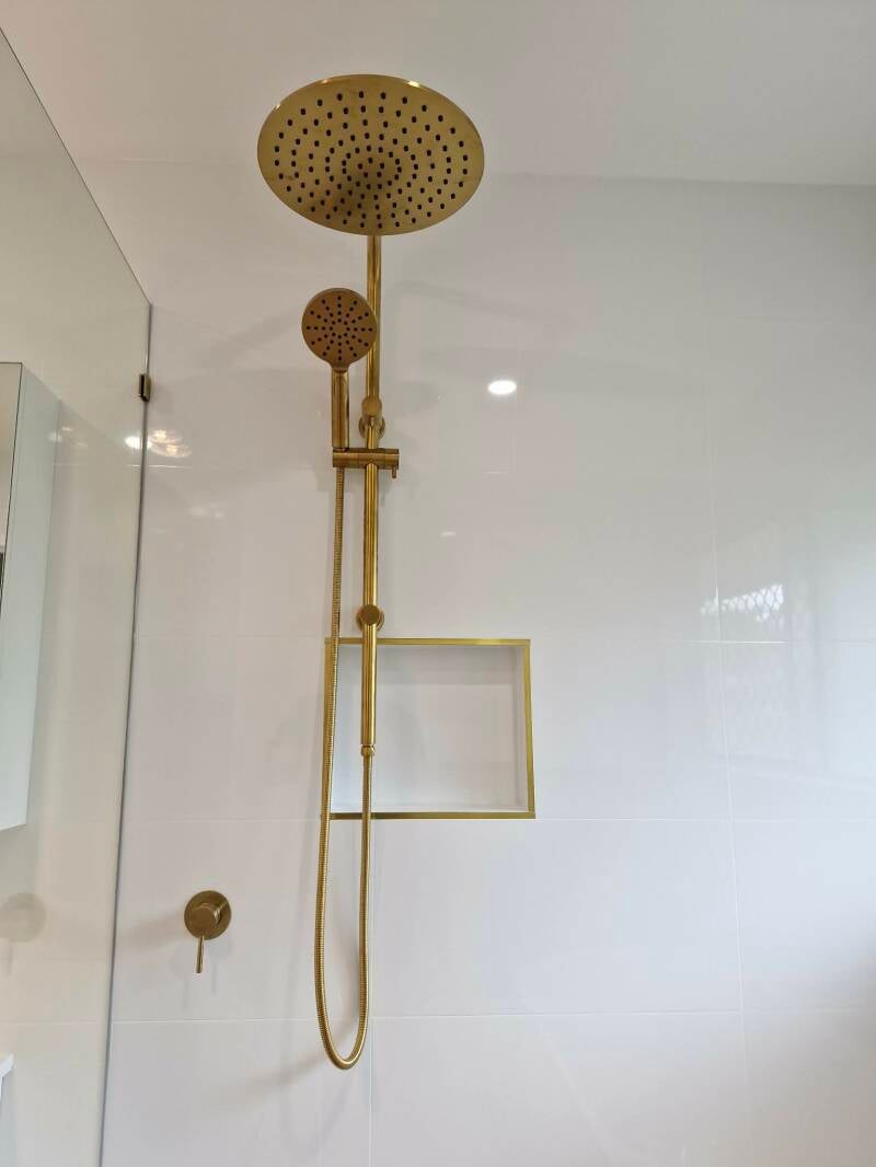 1000046496-standard.jpg