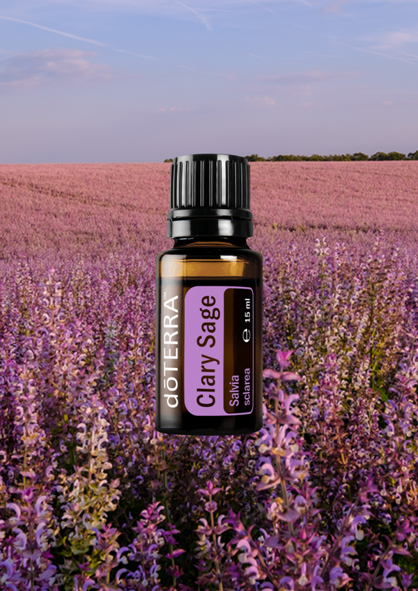 Clary Sage (Muskatsalbei) 15ml