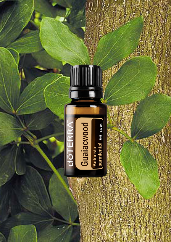 Guaiacwood (Guajak) 15ml