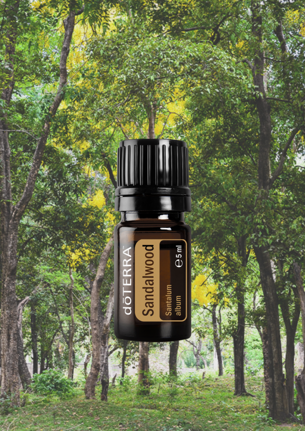 Sandalwood (Sandelholz) 5ml