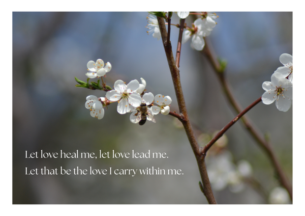 Poster, Let love heal me