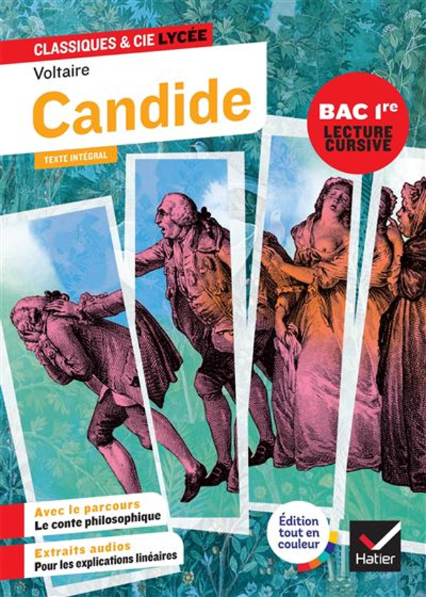 Candide (9782401120259)