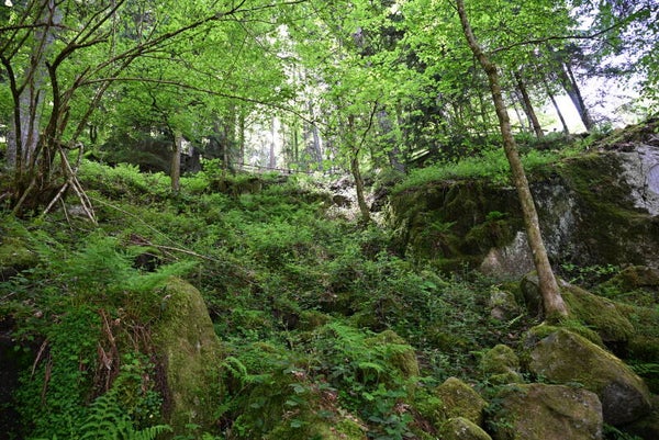 Aufstieg Wasserfall