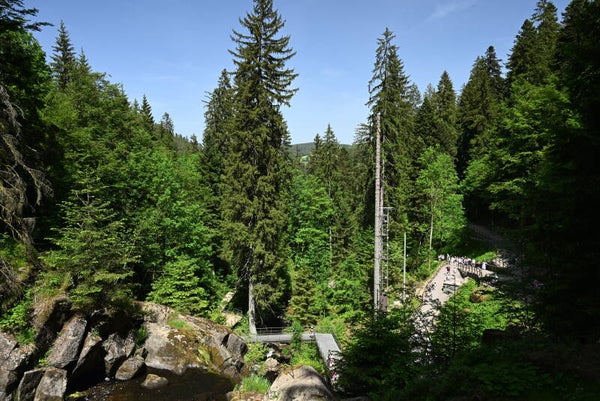 Aussichtsplattform Triberg