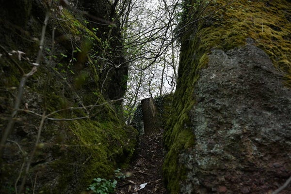 zwei verwilderte Felsen