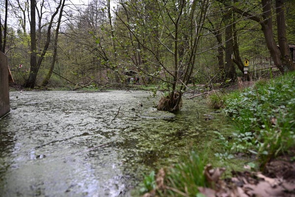 See-Drachenschlucht