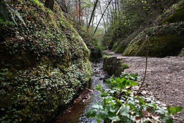 kleiner Bach in Eisenach