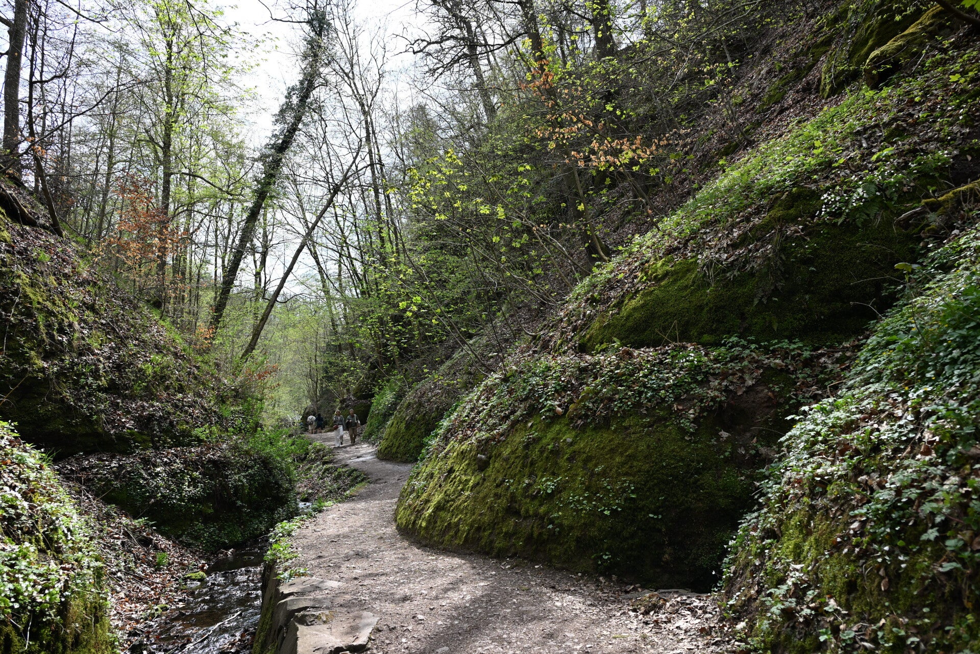 Bach-Felsen