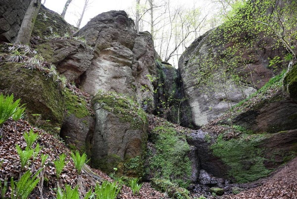 Felsen-Drachenschlucht