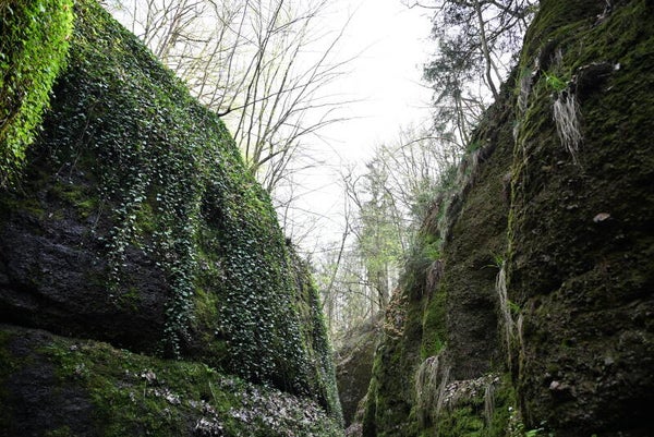 zwei alte Berge/Schlucht