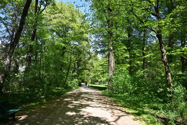 Wanderwald Riedenburg